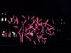 Bild 271.jpg